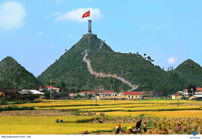 Tour Hà Giang mùa lúa chín 3 ngày 2 đêm