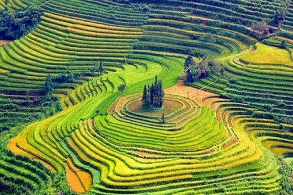 Top các địa điểm du lịch Việt Nam đẹp và thơ mộng