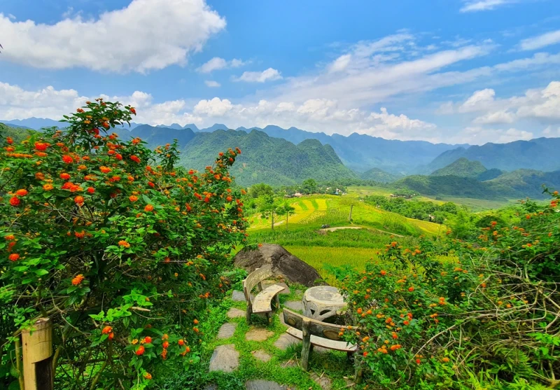 Pù Luông mùa lúa chín vàng